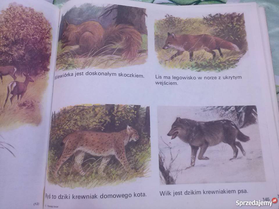 POZNAJĘ ŚWIAT Książka z dzieci 68 lat 1989r śląskie Katowice sprzedam