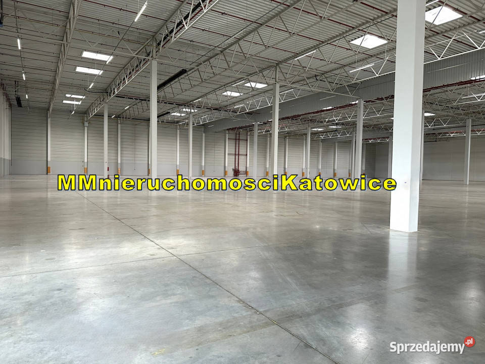 Magazyny do wynajęcia Ruda Śląska A4 do 13150 m2 parking