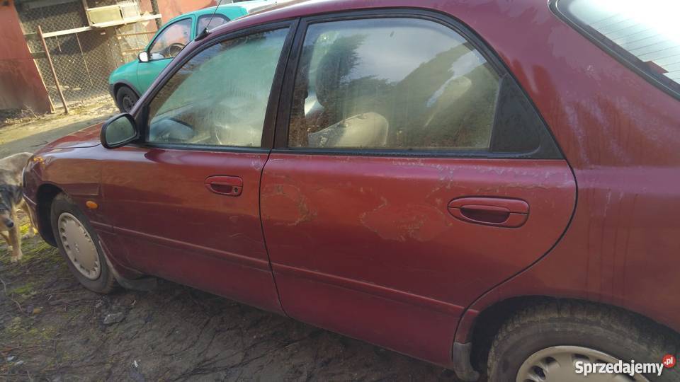 Motoryzacia kujawsko-pomorskie Niemcz