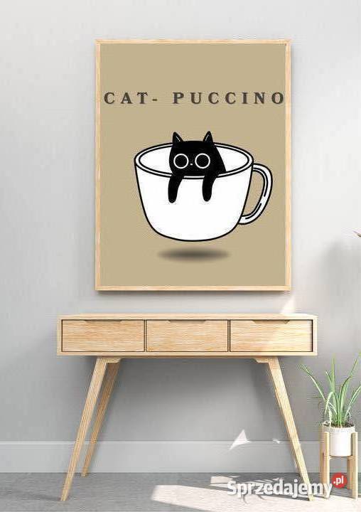 Catpucinoo Pełczyce