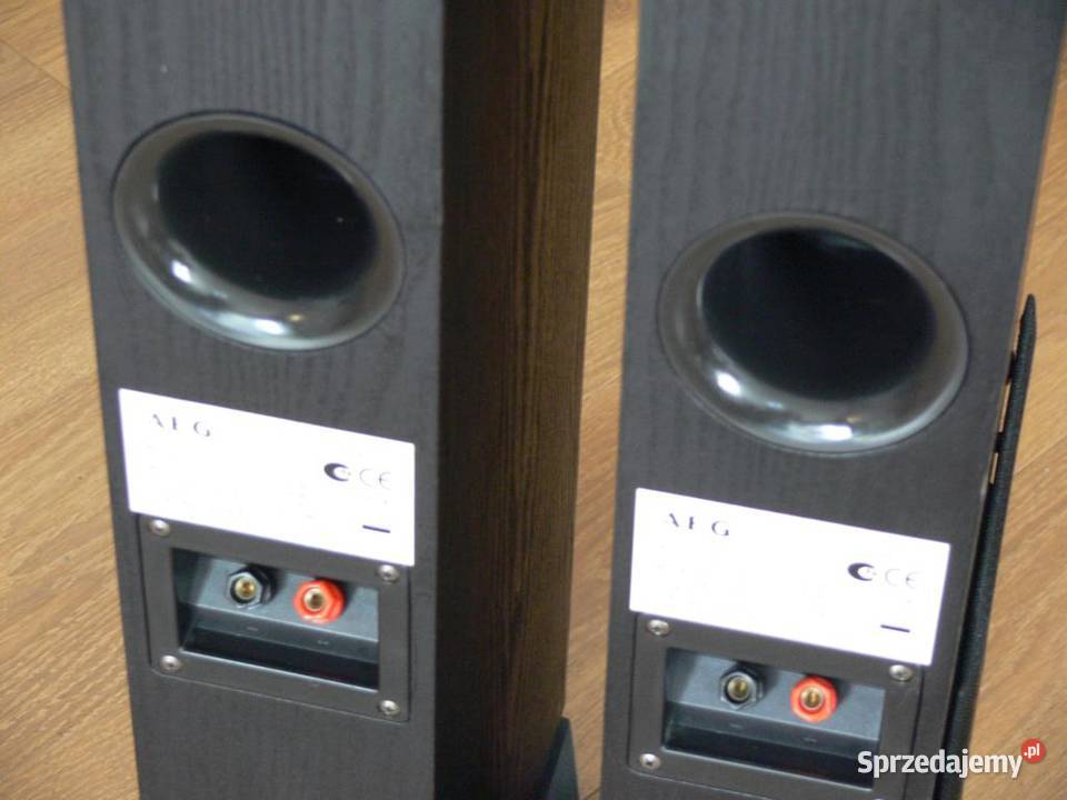 Niemieckie kolumny AEG 2 x 480 wat DOSTAWA Jasło