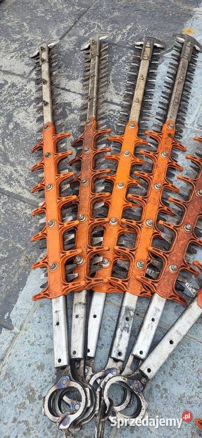 Nożyce do Nożyce stihl Sandomierz