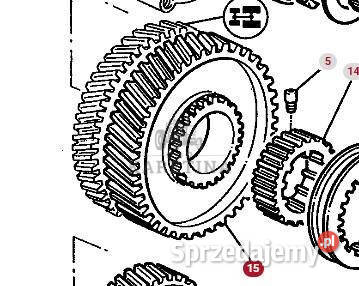 Massey Ferguson 3690 Koło Zębate Zębatka Skrzyni Jastrzębniki