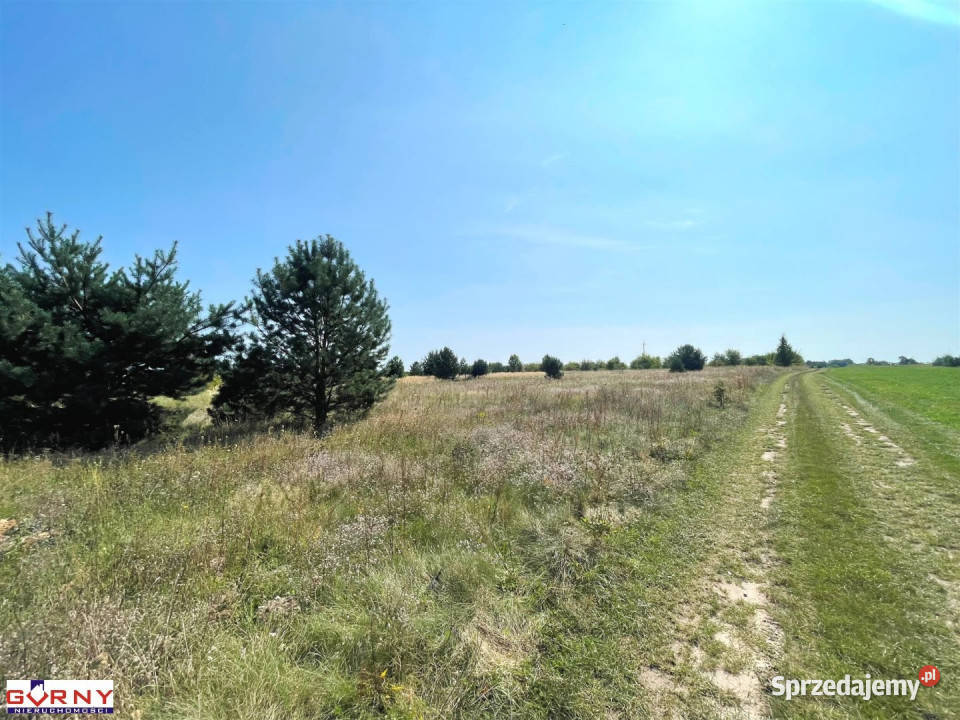 Działka 9871m2 Sulejów