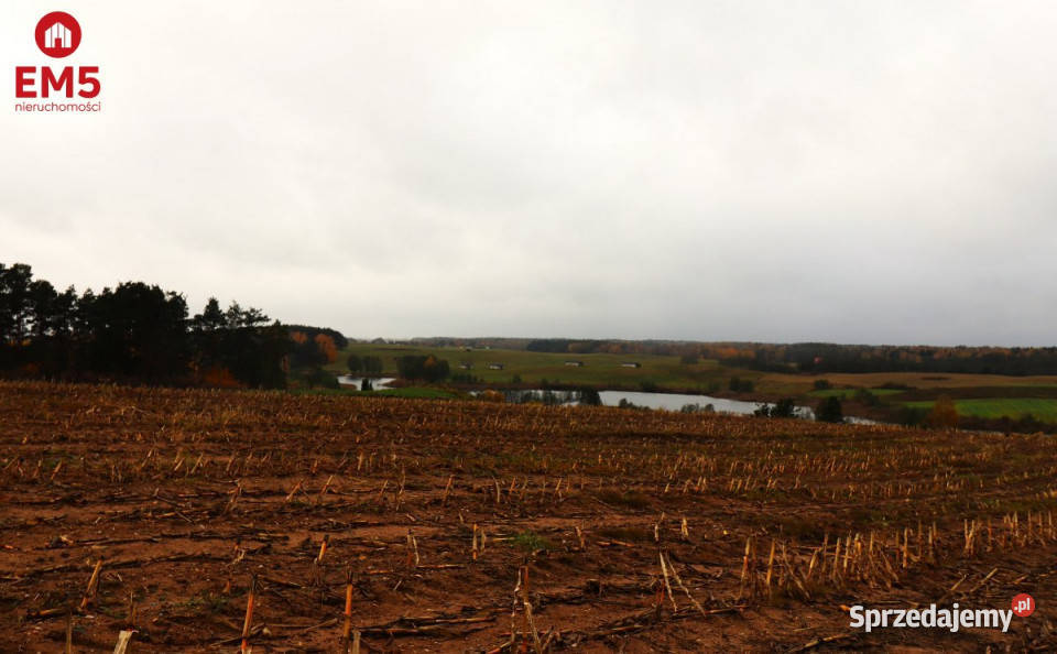 Działka 12000m2 Żegary Sprzedaż podlaskie