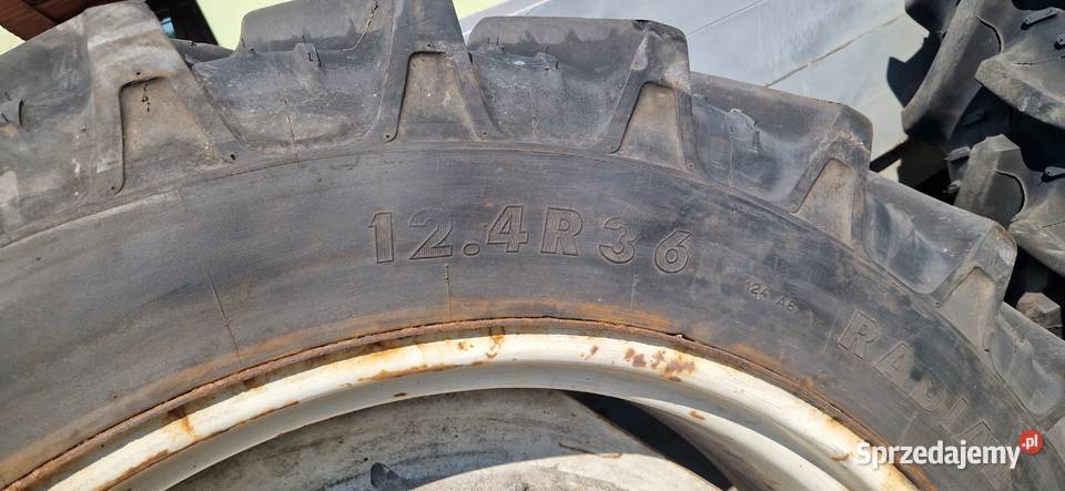 koła 124r36 136r36 13636 34085r36 Kleber 99 bez Nowe Miasto Lubawskie