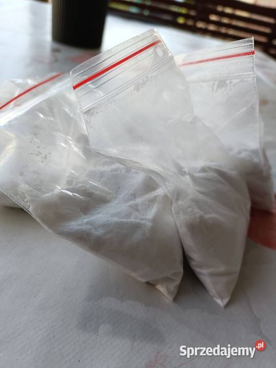 Proszek Karcher RM 760 100g do prania tapicerki Działoszyn