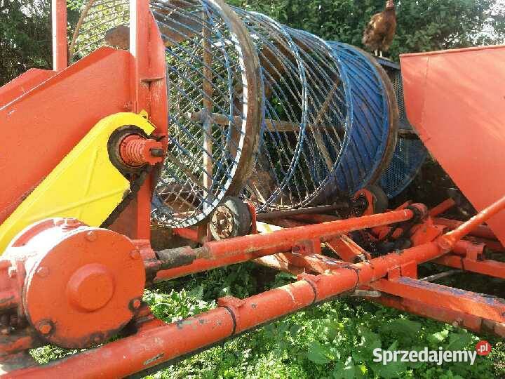 Orlik kombajn Krasnystaw