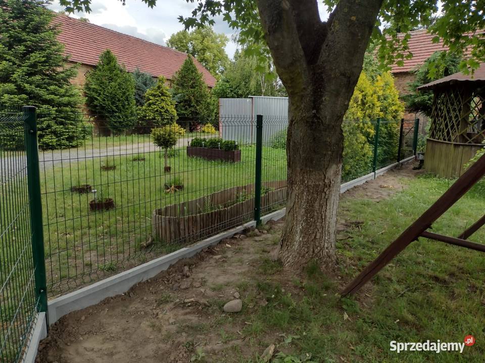 Ogrodzenia Panelowe Drut Fi4 Przytoczna sprzedam