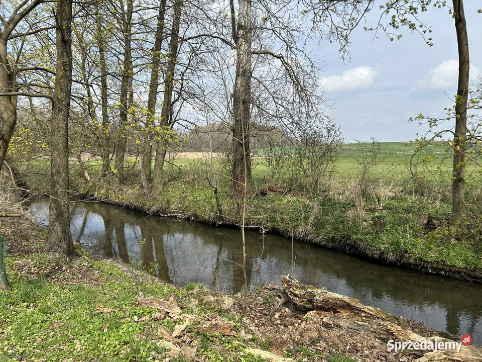 Sprzedam działkę rolną łąka rzeką Kosarzewka Sprzedaż Tuszów