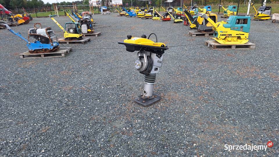 Skoczek Stopa WACKER NEUSON BS 502 plus 11in dolnośląskie Trzebnica