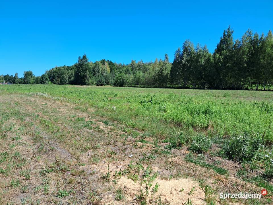 SPRZEDAM DZIAŁKI 30m Biały Ług