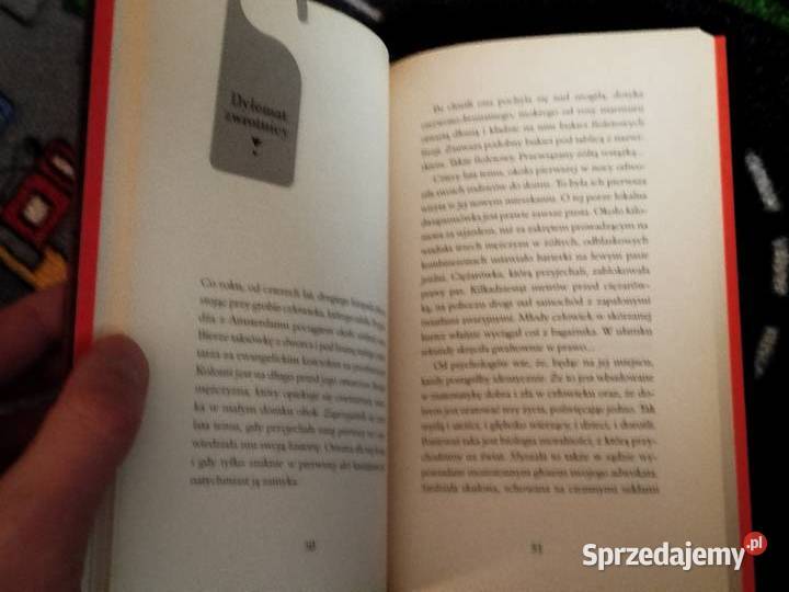 Janusz LWisniewski Sceny z życia ścianą STAN śląskie Sosnowiec