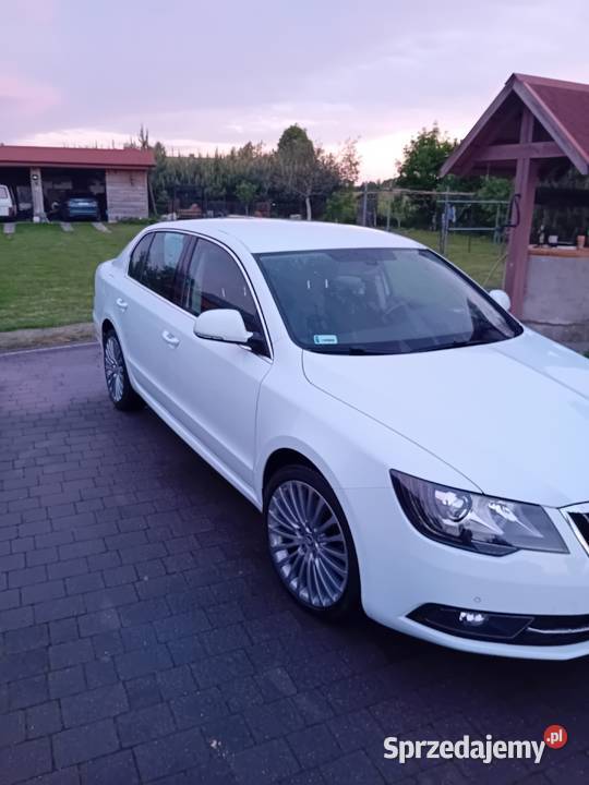 Skoda Superb 20 TDI diesel Superb Superb Wólka Siemieńska