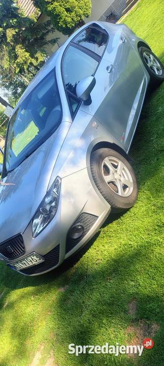 Seat Ibiza małopolskie