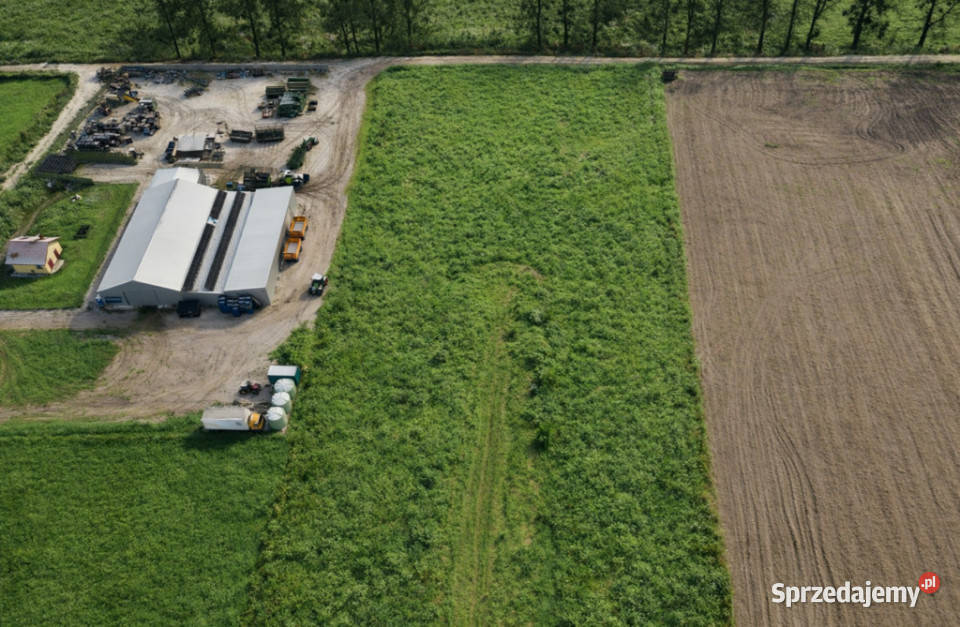 Teren pod budowę domu szambo Daleszewo