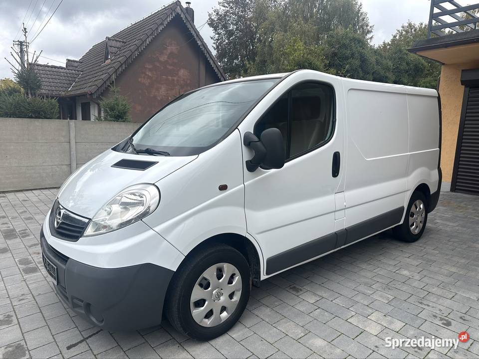 Opel Vivaro 20dci wielkopolskie Pogorzela