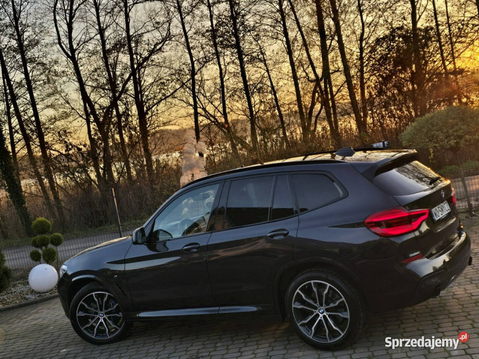 BMW X3 xDrive25d M Sport Salon Iwłaściciel Skępe