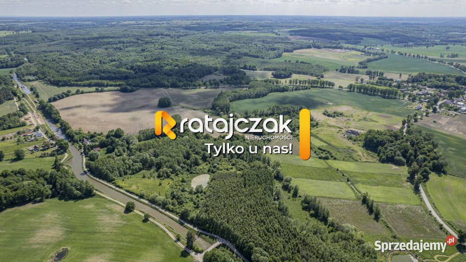 Działka 6951m2 Krasin Sprzedaż