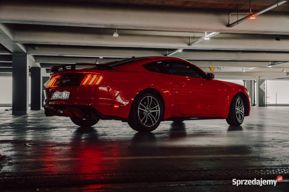 Ford Mustang 23 EcoBoost