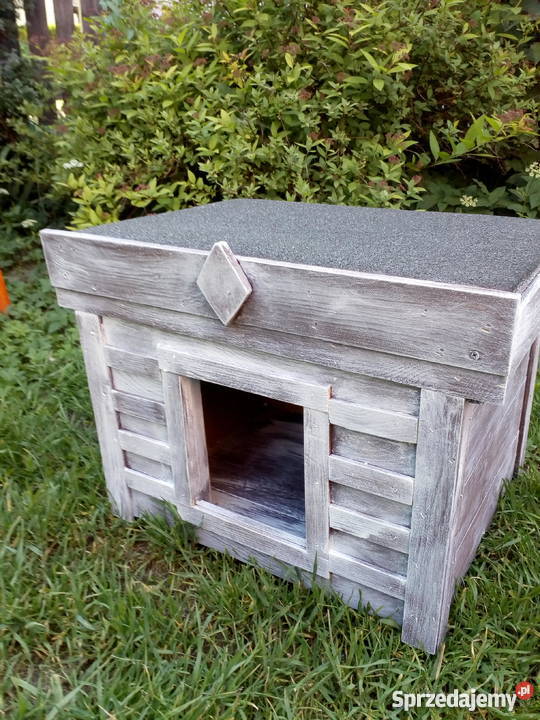 Buda małego psa kota Grodziec sprzedam