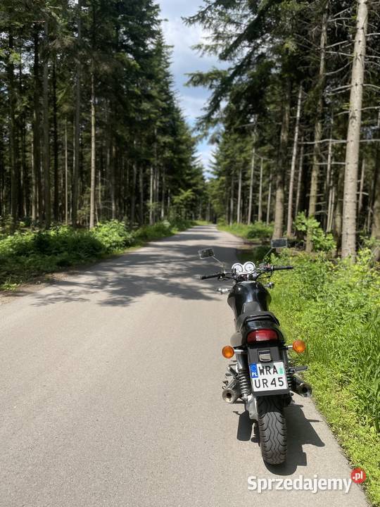 Suzuki vx800 serwisie gaźników wał kardana nieuszkodzony mazowieckie Radom