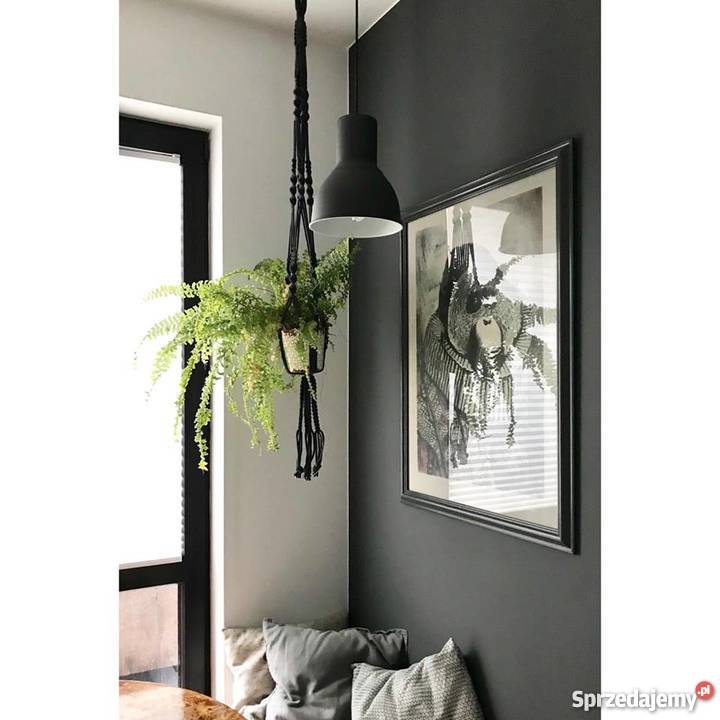 kwietniki beżowy Łódź