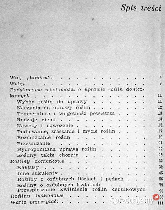 Kaktusy i inne Aleksandra KonarskaSzubska Chełm sprzedam