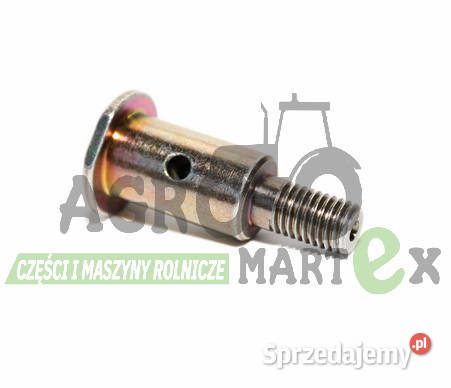 0006306980 006306980 06306980 6306980 SWORZEŃ sprzedam