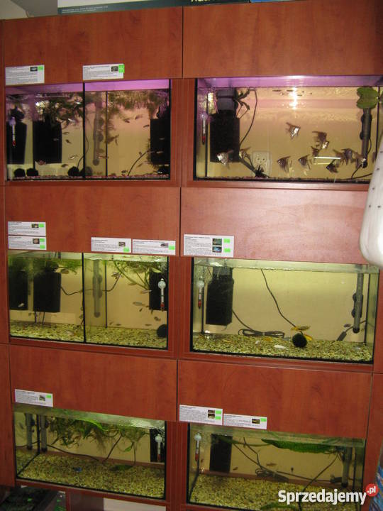 Sprzedam sklep zoologiczny Kraków małopolskie sprzedam