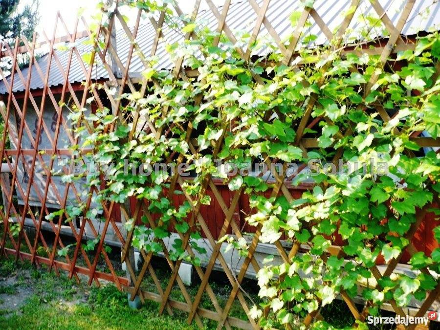 dom wolnostojący 50m2 Tenczynek Tenczynek