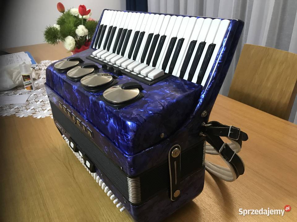 Akordeon Delicja 120 basów Będzin