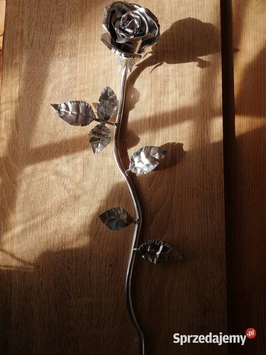 Stalowa róża wieczna róża inny kolor Dom i Ogród Wrocław