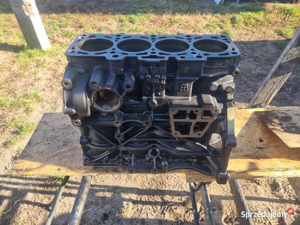 Blok silnika 16 TDI CAY mazowieckie Radom