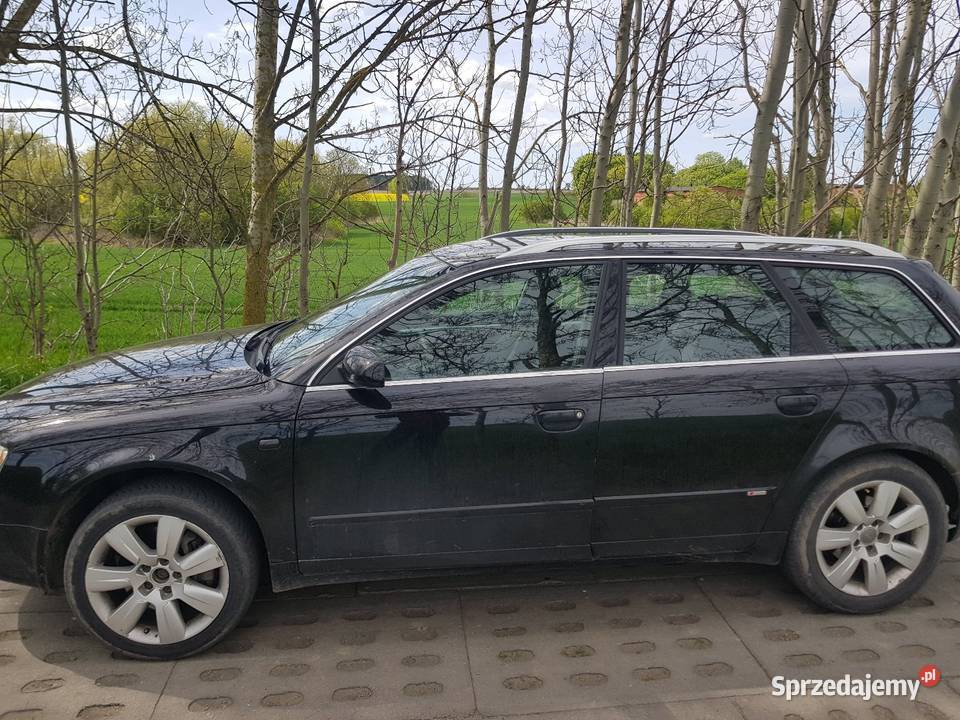Audi a4 b7 A4 pomorskie Czarnylas