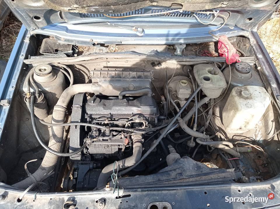 Volkswagen Golf 16 40 kW 1987 r dawca części Szklarka Myślniewska