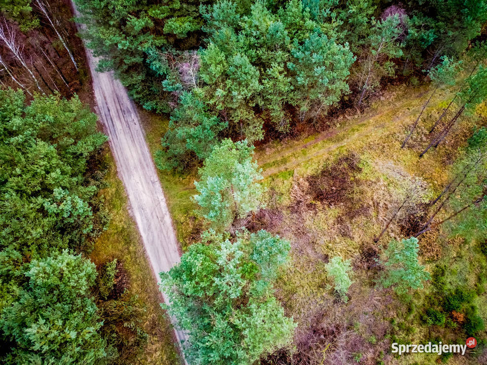 Usługi dronem zdjęcia i filmy z dronalotu ptaka Brodnica reklama