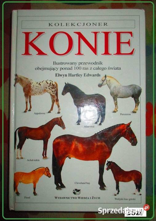 Nasze ptaki ETuryn ptaki ptactwo fauna przyroda Łódź