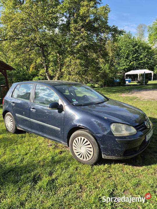 Vw Golf 5 16FSI 5 drzwi Brzeg