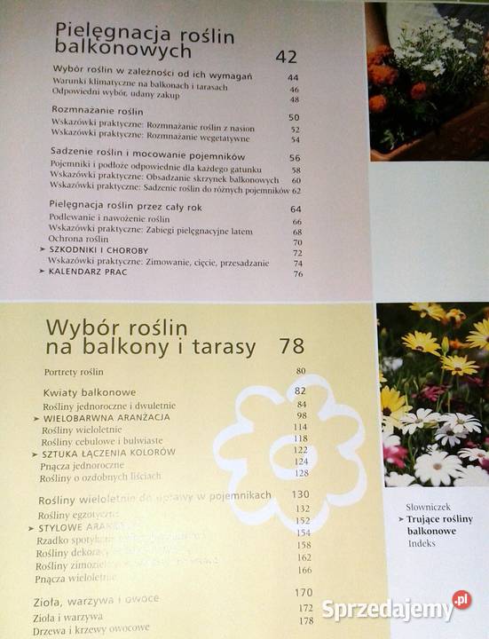 Rośliny balkonowe Joachim Mayer Chełm