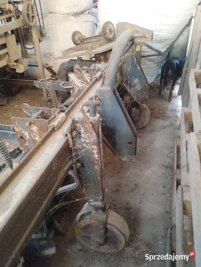 Glebogryzarka czterorzędowa Pozostałe Mogilnica