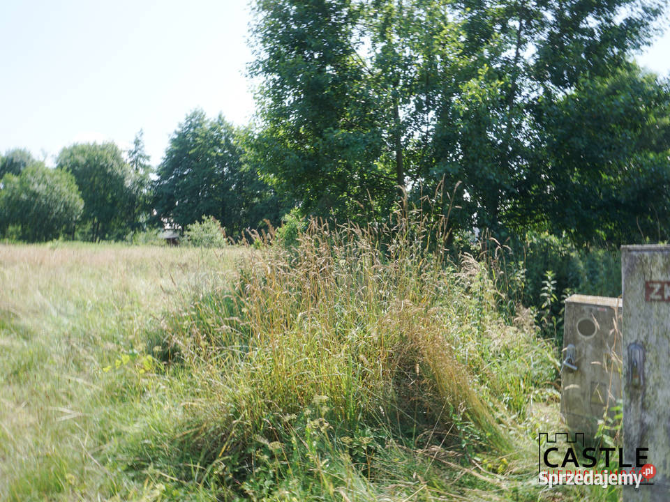działka pod budowę I do lasu I Sztutowo