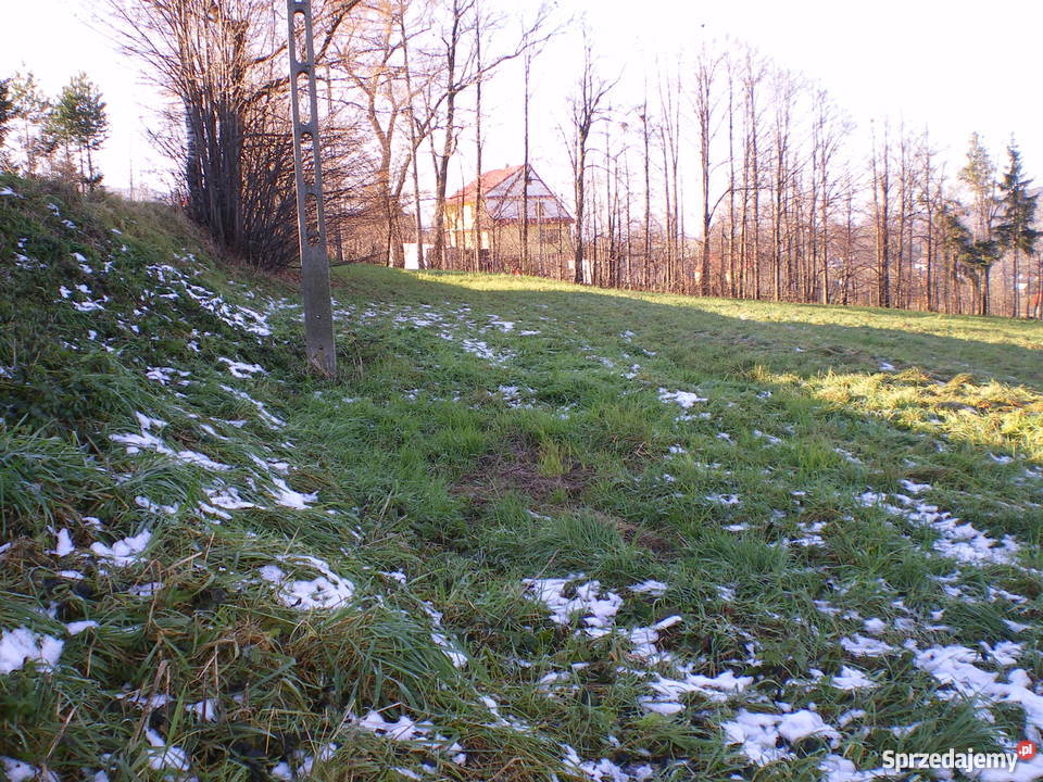 DZIAŁKA 16ar LipoweLIMANOWA Limanowa