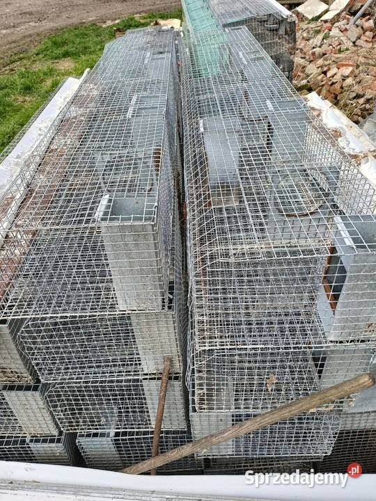 Klatki królików Koźmin Wielkopolski
