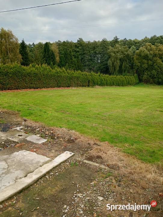 DZIAŁKA BUDOWLANA 1037m2 Wszystkie MEDIA z SUPER budowlana Grunty i działki Golasowice