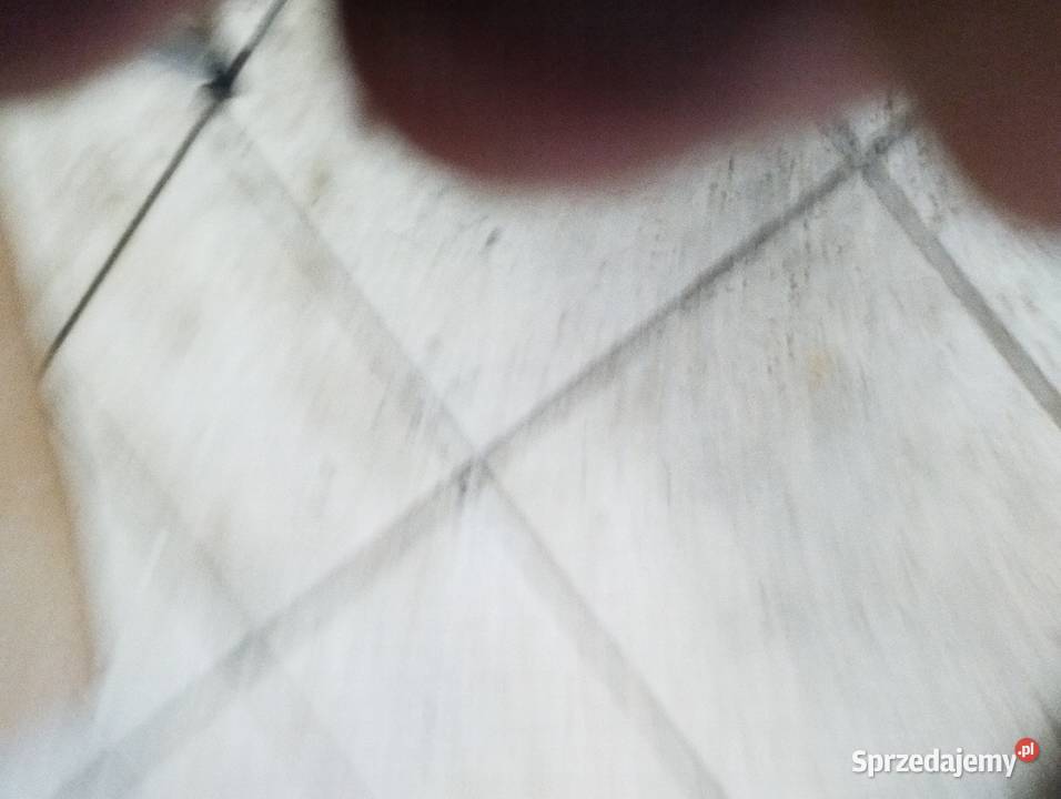 drzwiczki kominkowe żeliwne rewizyjne do kominka Poznań