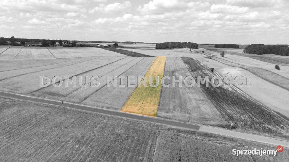 Do sprzedaży działka 4700m2 Chociszew sprzedam