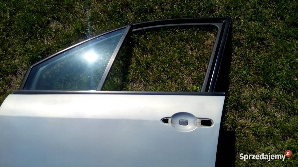 Drzwi przód kierowca RenaultScenic ll osobowe