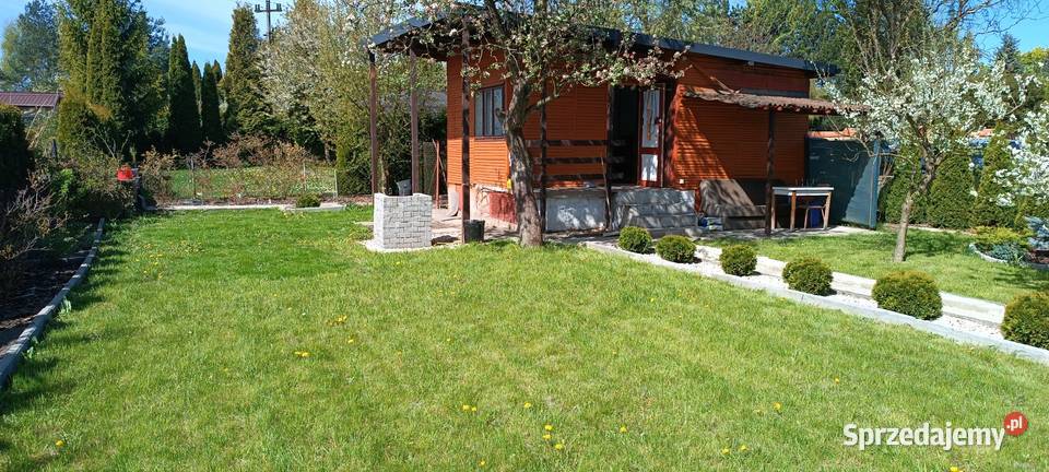 Działka rekreacyjna ROD Piotrków Trybunalski