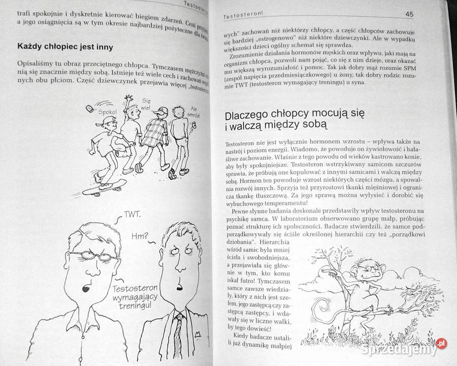 Wychowywanie chłopców Steve Biddulph Chełm